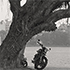 Christoph Radke, Vietnam,  Hanoi, am Hồ Trúc Bạch, 2018